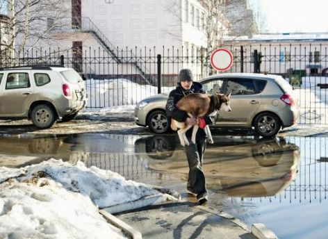 Сургутян ждет большой плюс