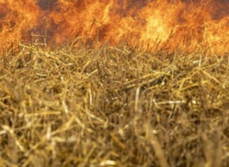 В Нижневартовском районе горят 70 гектаров леса
