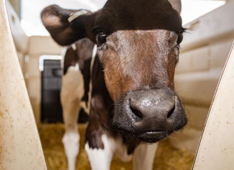 ​Сельские жители Тюменской области реализуют продукцию через сельскохозяйственные кооперативы