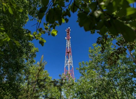 ​Мобильная сеть МегаФона признана лучшей в России