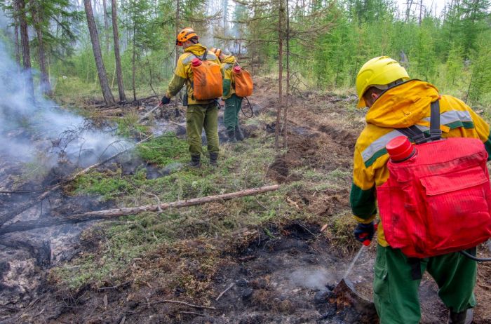 Югра заняла первое место по количеству лесных пожаров