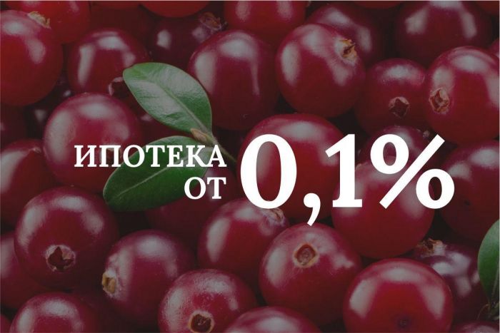 ​Студия с одной спальней площадью 39,4 м² в доме «Клюква» за 13 472 ₽ в месяц*