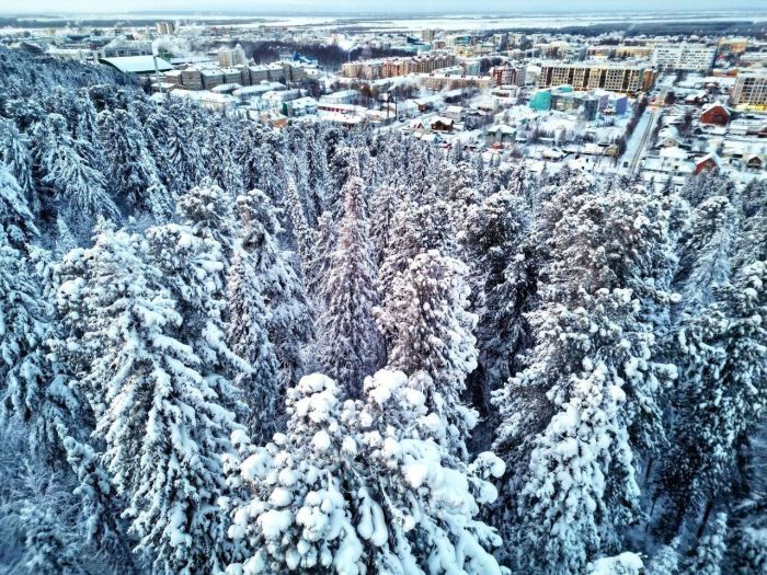 Столица Югры попала в топ городов с высоким качеством жизни
