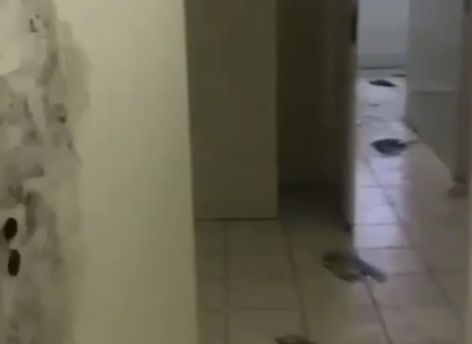 Наша база