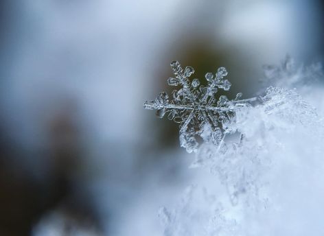 ​Февральские праздники в Сургуте будут по-весеннему теплыми