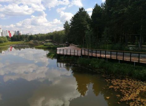 Чужая река