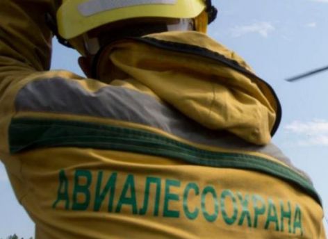 Югорчанам разрешили посещать леса, но есть исключения