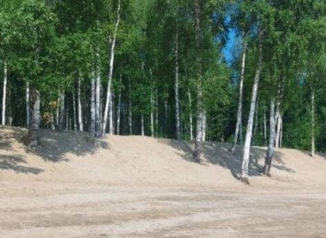 ​В Нижневартовске парки и скверы обрабатывают от клещей