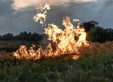 СМИ: авиалесоохрана Югры укомплектована недостаточно для тушения пожаров