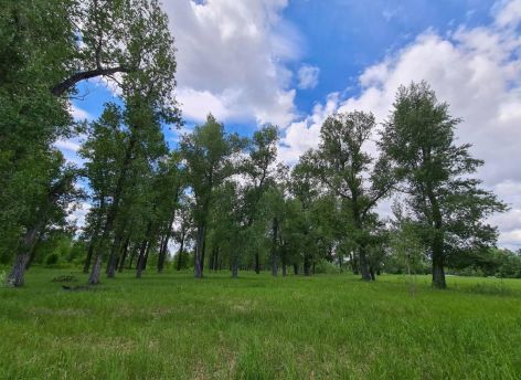 ​Власти Нижневартовска объяснили запах гари и дымку в городе