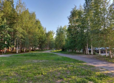 ​Мы все еще можем остановить экологическую катастрофу в центре Сургута