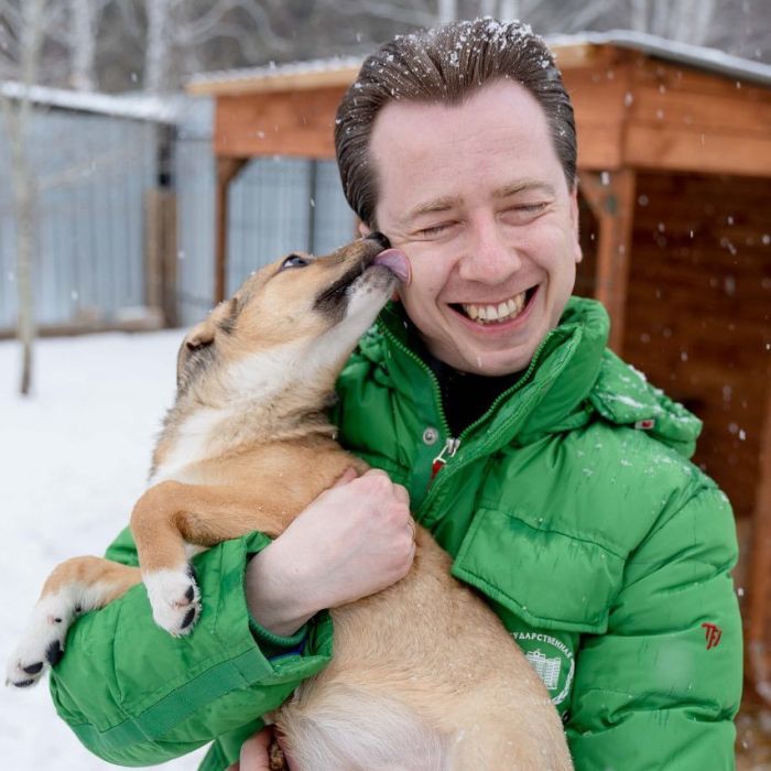«Попытки убивать животных были всегда, важно привлекать за это к ответственности»