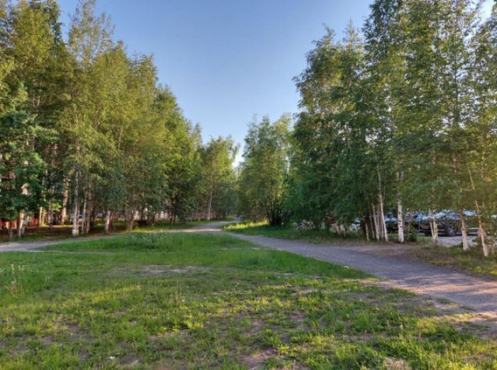 ​Ситуация с вырубкой сквера и строительством спортивного сооружения на Дзержинского действительно сложная
