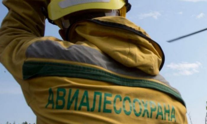 ​12 лесных пожаров потушили за сутки в Югре