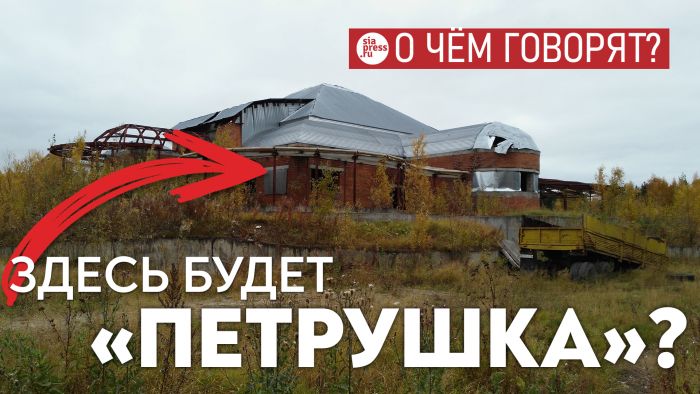 ​Почему бы не реконструировать и расширить Дом пионеров, и поселить там «Петрушку»?