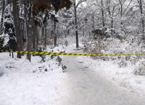 Боевую гранату нашли в Сургуте возле парка