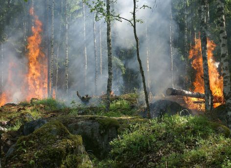 ​В Югре – пожароопасный период. Что это значит для жителей и гостей округа