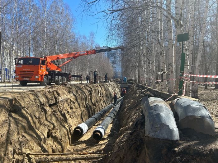 ​Инициатива концессионера позволит сократить вырубку деревьев в парке Победы Нижневартовска