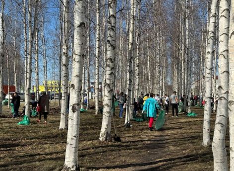 В Сургуте стартовали городские субботники