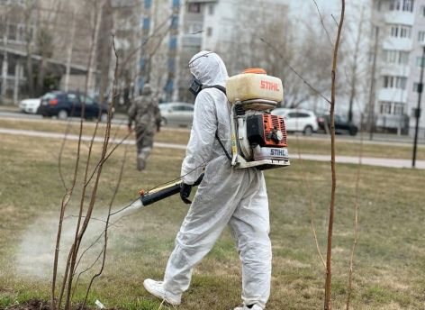 За лето в Сургуте проведут три противоклещевые обработки