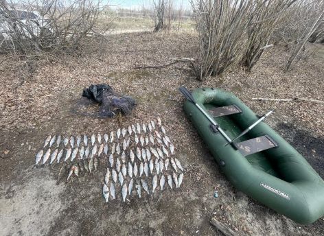 Сургутянина могут посадить на два года за незаконную добычу рыбы