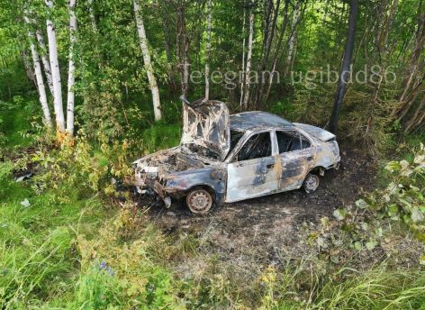 ​В ХМАО водитель улетел в кювет и врезался в дерево