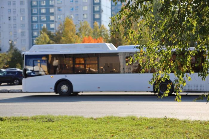 ​Девять новых автобусных маршрутов появятся в Нижневартовске