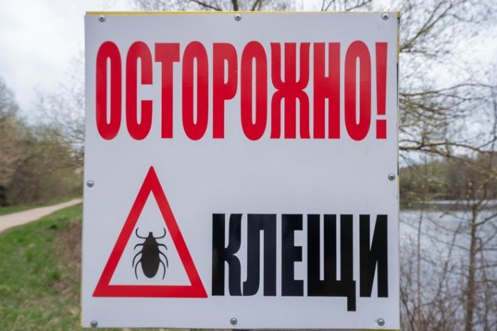 ​Как избавиться от клещей и обезопасить участок // СИА-ПРЕСС ОТВЕЧАЕТ