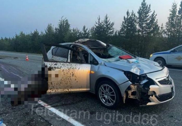​В Югре лось угодил под колеса автомобиля