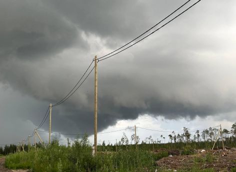Дожди и умеренное тепло: погода в Югре на начало недели