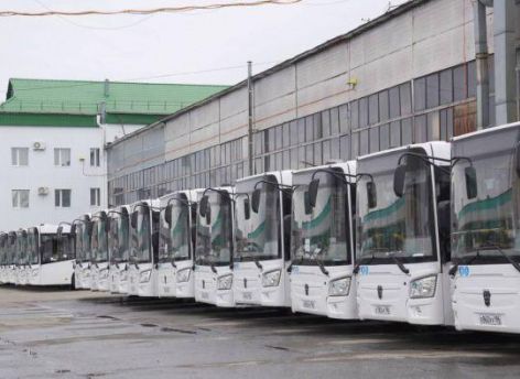 Огромные траты на школьные автобусы в Сургуте — одно последствий либеральной миграционной политики