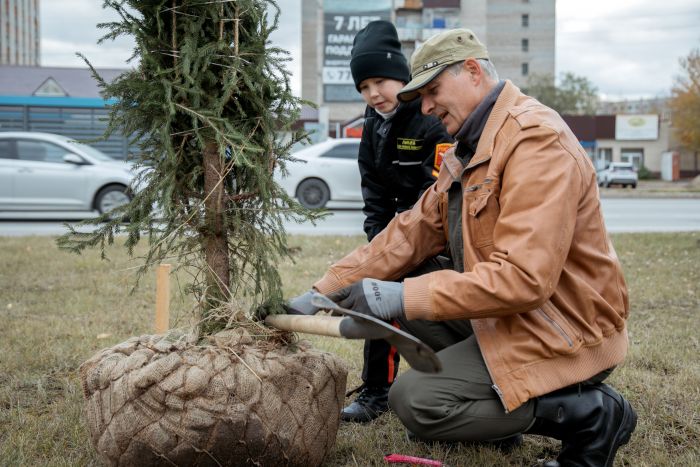 ​В Сургуте прошел очередной этап осенней акции по высадке деревьев