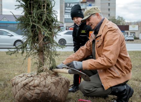 ​В Сургуте прошел очередной этап осенней акции по высадке деревьев