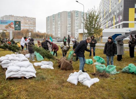 ​В Сургуте появилась еще одна «Аллея предпринимателей»