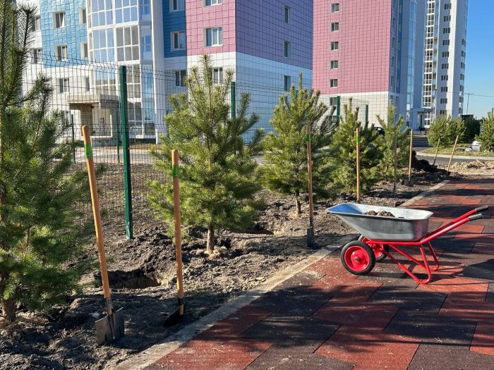 ​В ЖК «Георгиевский» прошла акция «Посади свое дерево» – жители высадили сосны и рябины вокруг школы