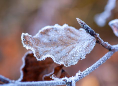 ​Морозы до -24° и снег: какая погода ждет Югру в начале недели