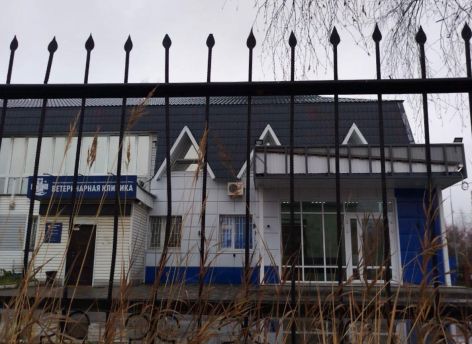 ​«Мы остаемся в тупике»: в Сургуте станция скорой помощи ставит забор, который перекроет доступ к ветеринарным учреждениям на улице Профсоюзов