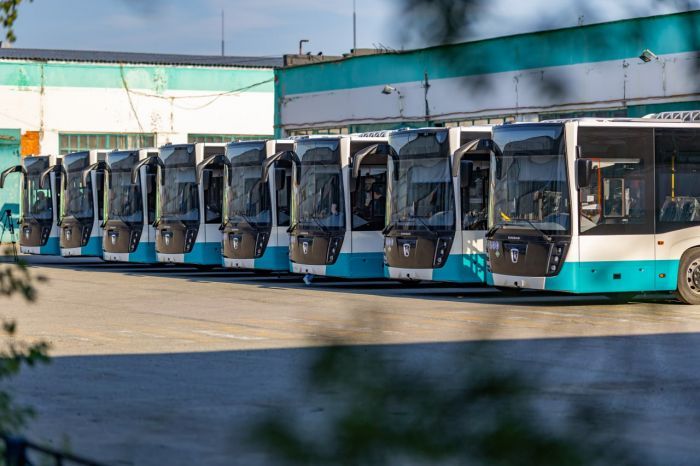 В Сургуте работает пересадочный тариф на общественном транспорте