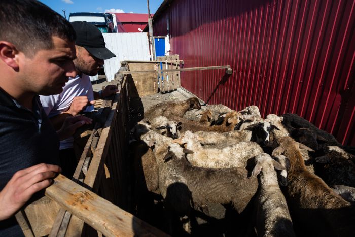 Губернатор Югры запретил нанимать иностранцев по патентам в 27 видах деятельности
