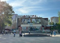 Идеально было бы расположить в «Авроре» «Петрушку» или планетарий, но пойдет любой проект, направленный на культурное и интеллектуальное развитие
