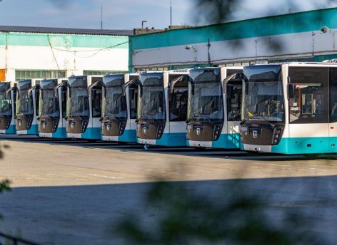 Власти Сургута и Нижневартовска запустят бесплатные автобусы до кладбищ на Радоницу