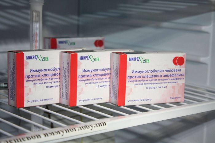 ​В Югре растет число укусов клещей – уже 31 случай