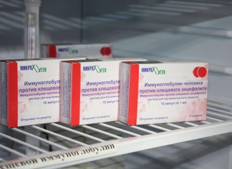 ​В Югре растет число укусов клещей – уже 31 случай