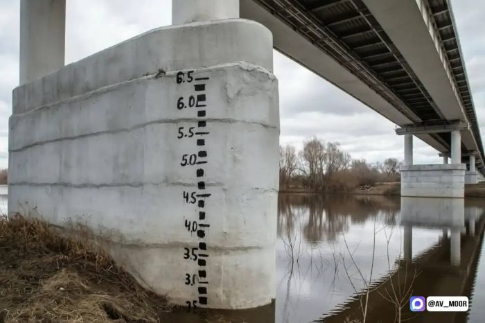 ​В мессенджере МАКС заработал чат-бот по паводку в Тюменской области