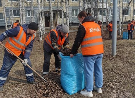 Коммунальщики Югры объяснили, почему обязательно нужно убирать прошлогоднюю листву