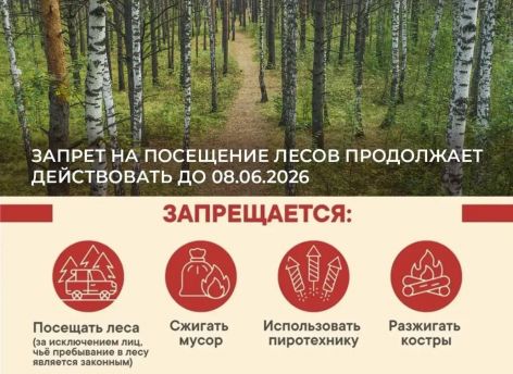 В Тюменской области продлили запрет на посещение лесов до 8 июня