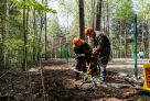 Власти Сургута начали благоустройство дорожек в парке «За Саймой»