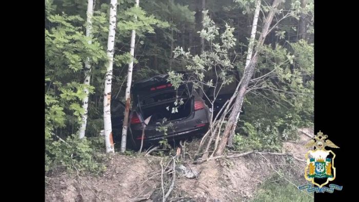 Неожиданно выбежавший на дорогу лось стал причиной аварии, в которой погибла девушка