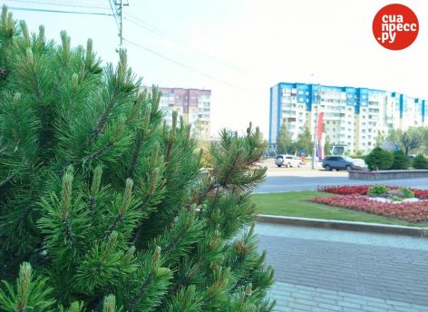 Семейную ипотеку хотят сделать более адресной уже с 1 июля