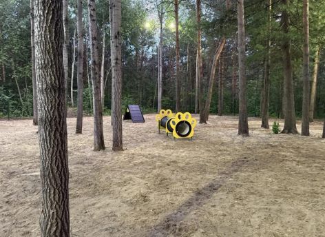 На площадке для собак в парке «За Саймой» в Сургуте появилось освещение